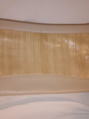 Vintage Golden Threads Cream Interior Eel Skin Clutch